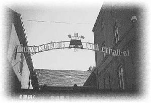 brauerei-bogen.jpg